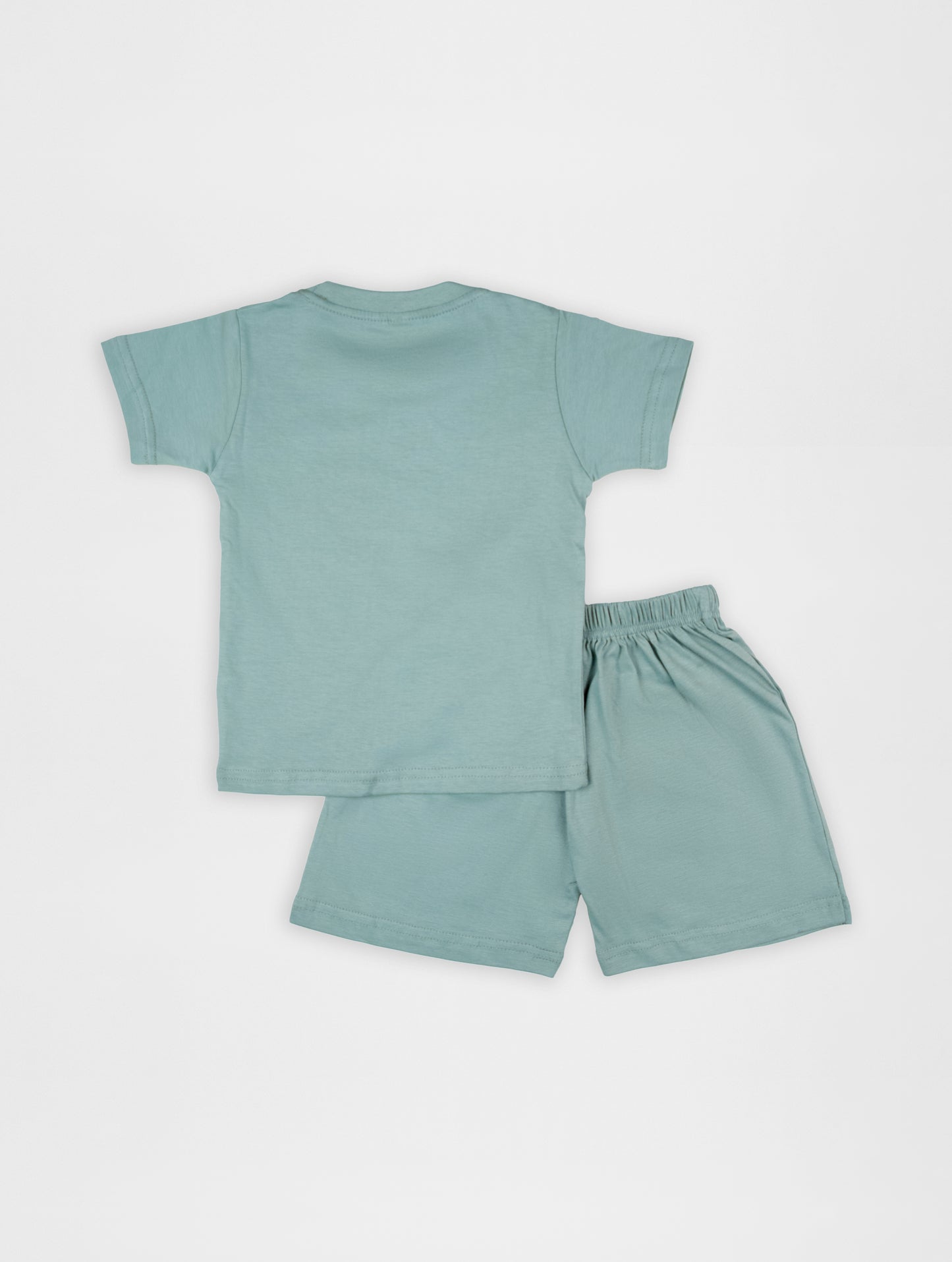 Plain Green Half Sleeve Tshirt & Short Co-Ord Set