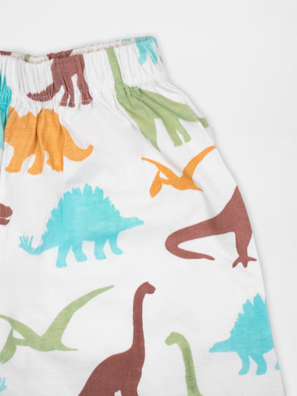 Dinosaur Print Half Sleeve Tshirt & Short Co-Ord Set