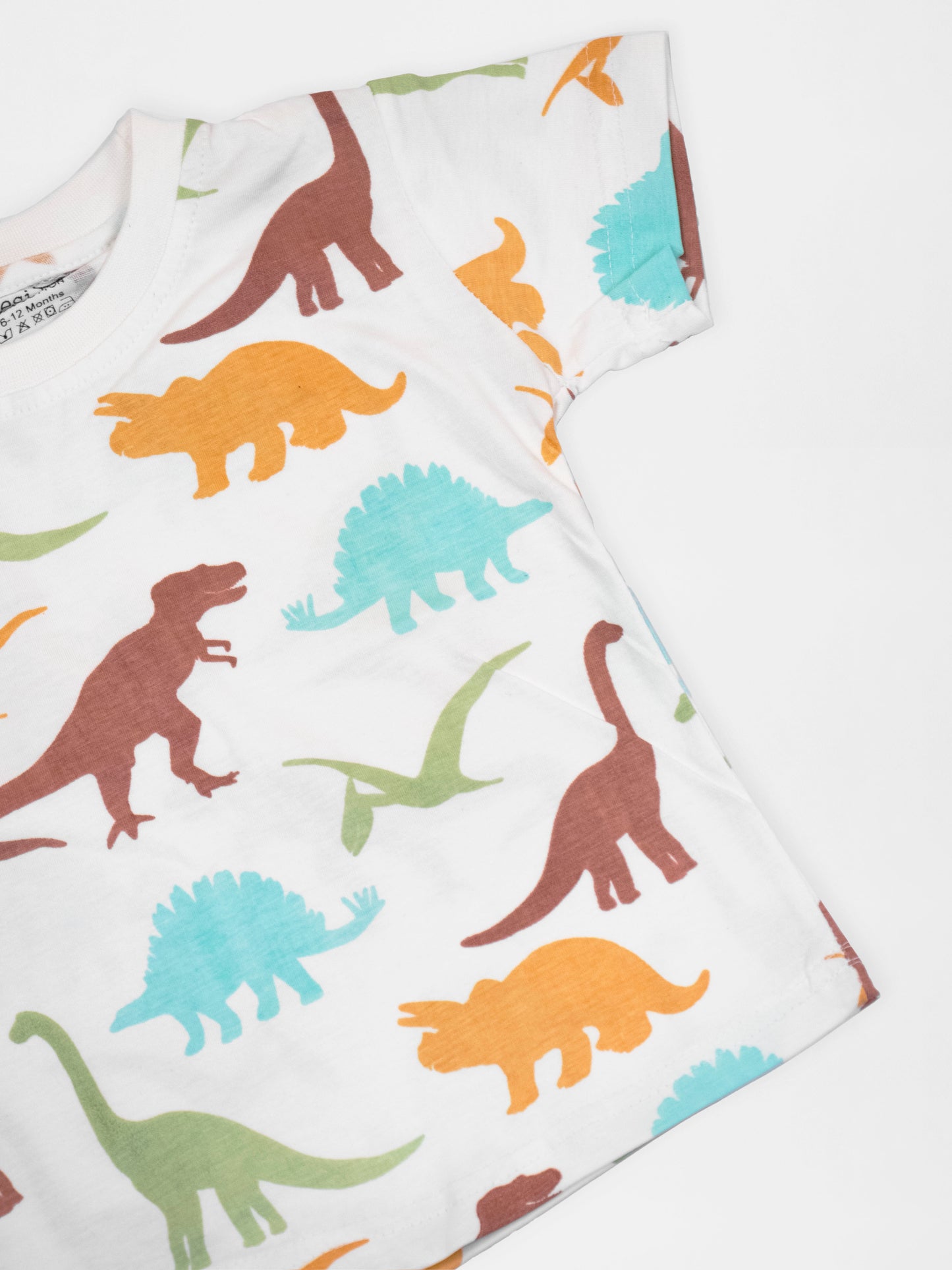 Dinosaur Print Half Sleeve Tshirt & Short Co-Ord Set