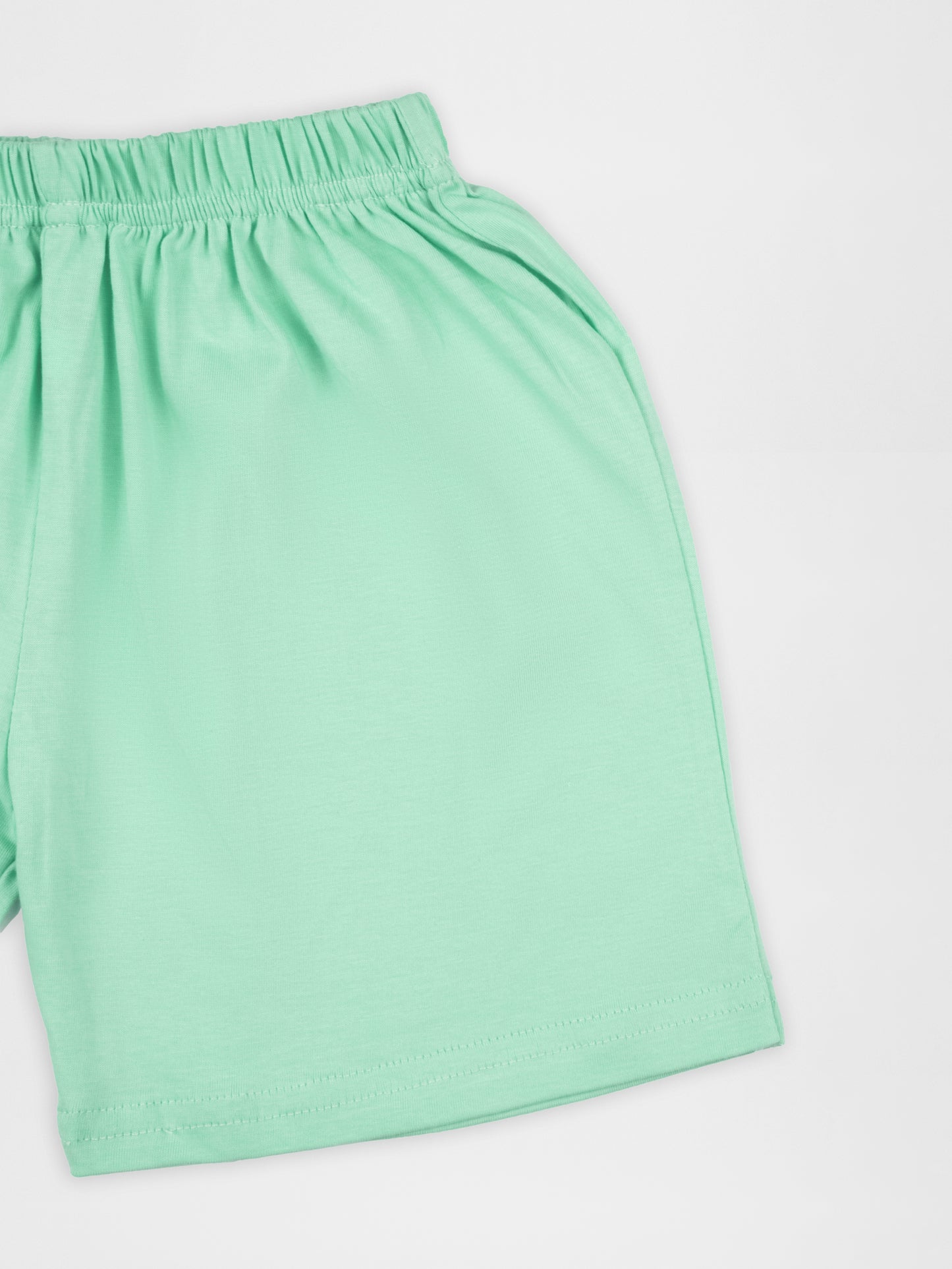 Classic Plain Mint Green Half Sleeve Tshirt & Short Co-Ord Set