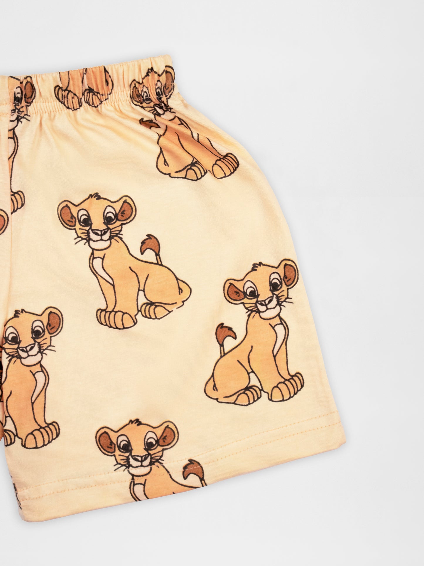 Lion Cub Print Half Sleeve Tshirt & Short Co-Ord Set